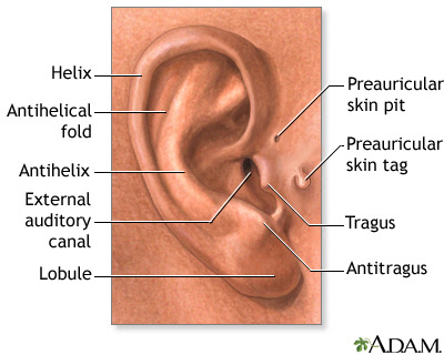 sinus contamination headache remedy