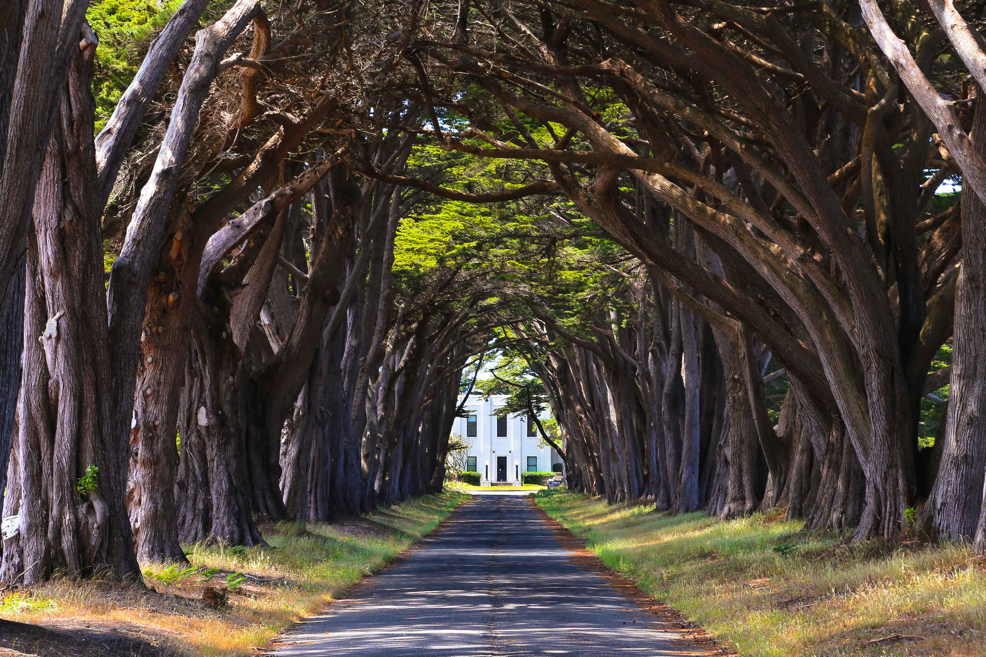 The 7 Most Beautiful Places in California You Didn39;t Know Existed 