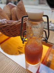 Pubologi