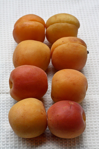 apricots