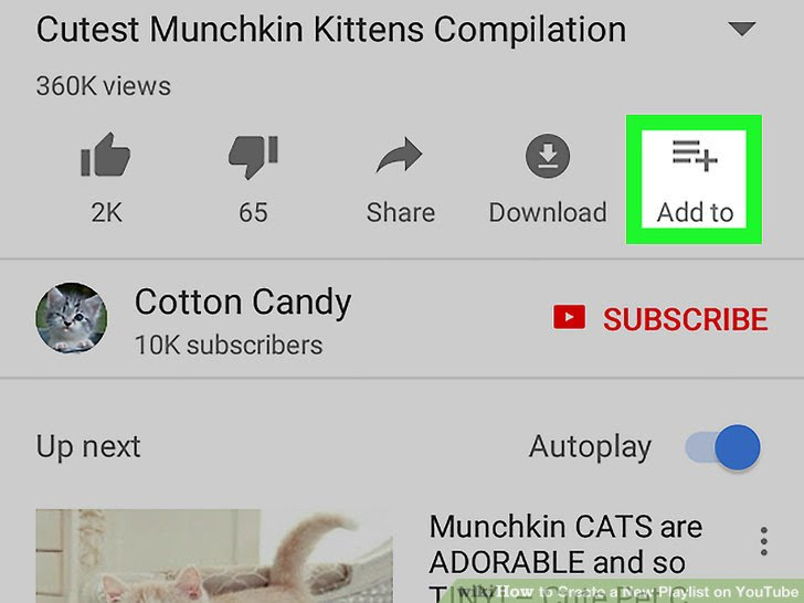 Create a New Playlist on YouTube Step 5 Version 6.jpg