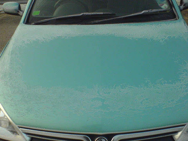 Frost
