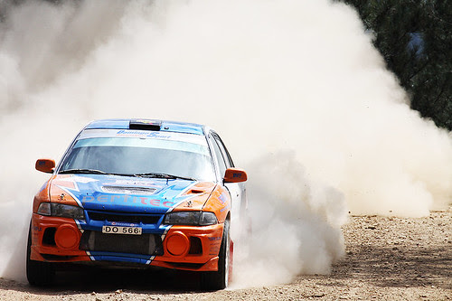 Rali de Arganil 2010