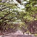 upd003