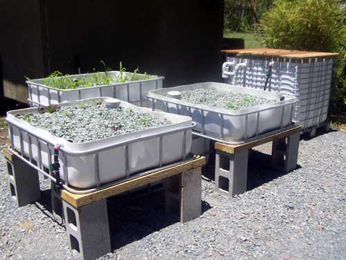sistem for aquaponic: October 2014