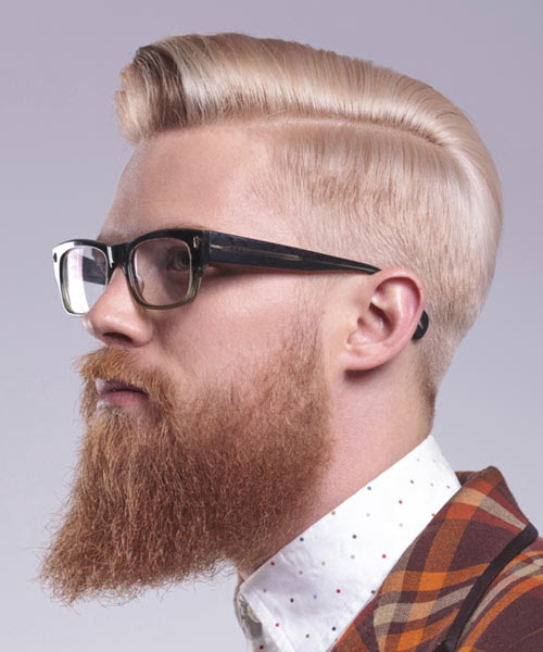 10+ Beard Styles For 2016 10+ Beard Styles For 2016