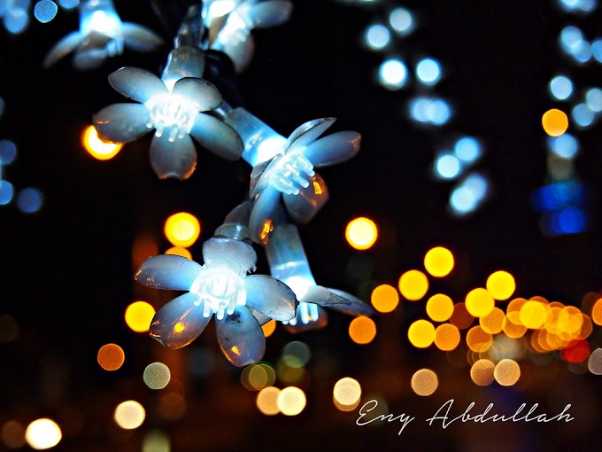 Tips Photography | Bokeh