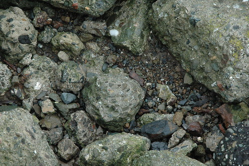 Rocks at the shore