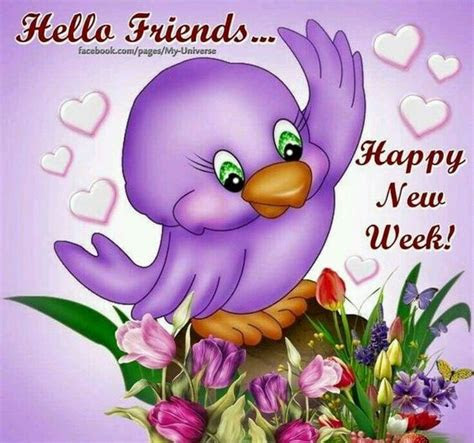 friends happy  week pictures   images