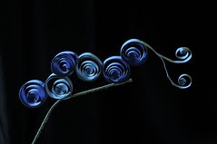 caterpillar