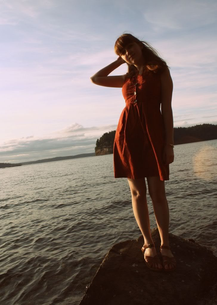 the clothes horse, daily outfit, orange dress, sea shore, puget sound, personal style, rocky shore, pacific ocean