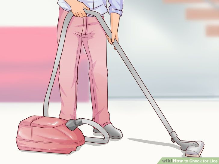 Check for Lice Step 28.jpg