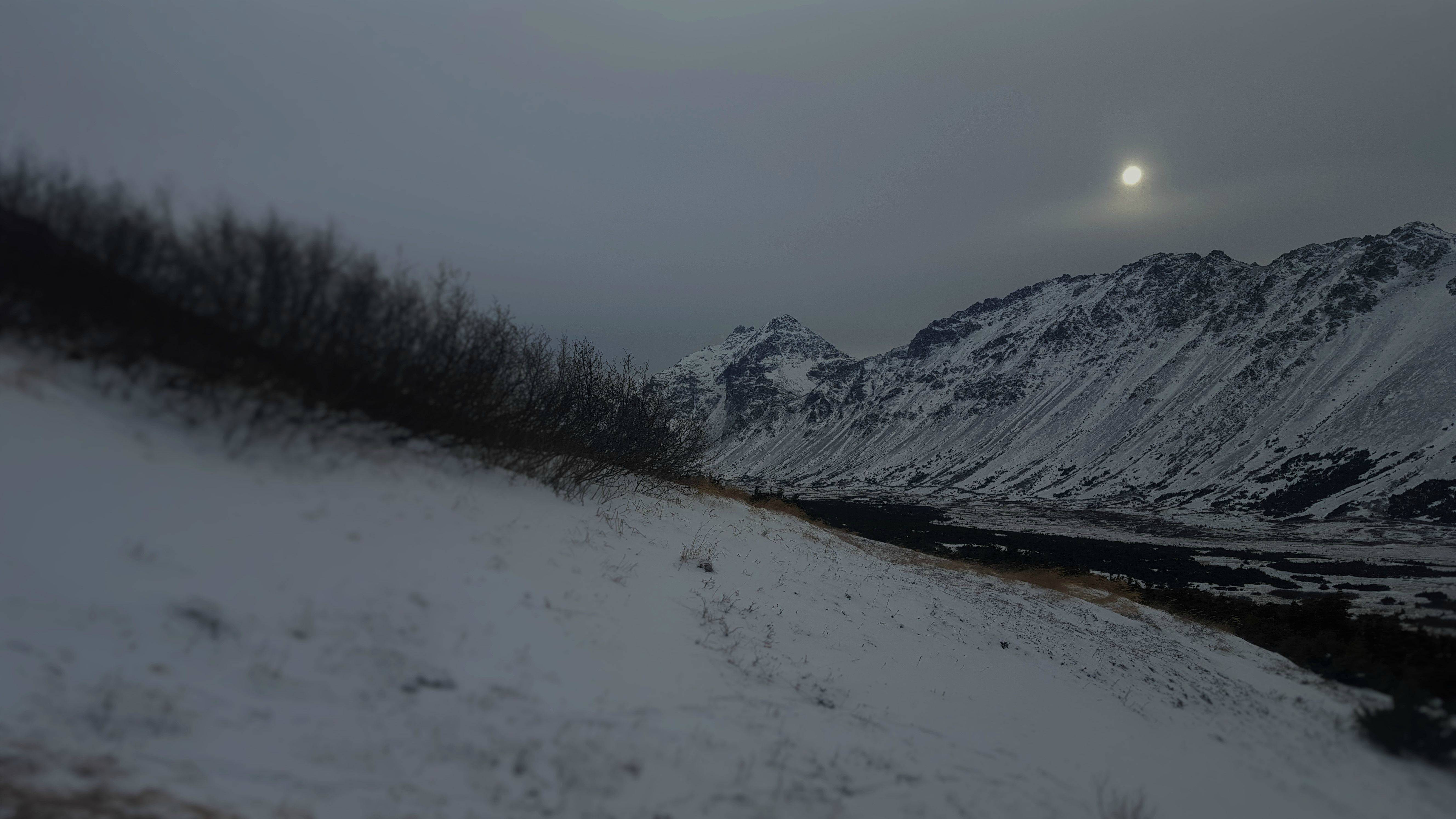We're losing sunlight each day, and the sun won't fully rise for months. Taken in Anchorage, AK, at noon. [OC] [5312/2988]