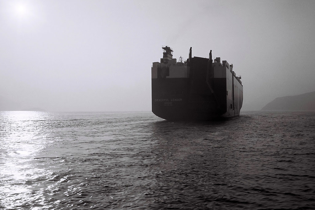 Graceful Leader Container Ship