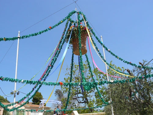 mas de cocagne.jpg
