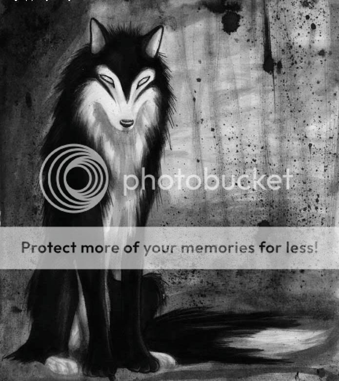 Black And White Wolf Images. EvilWolf2.jpg Black/White Wolf