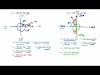 AC Circuit Fundamentals ।। Sin & Cos Conversion ।। Wave Equation Conversion ।।