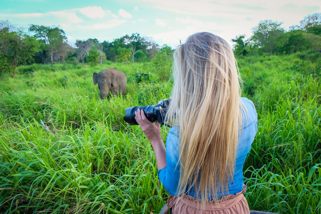 Elephant Safari in Northern Sri Lanka 