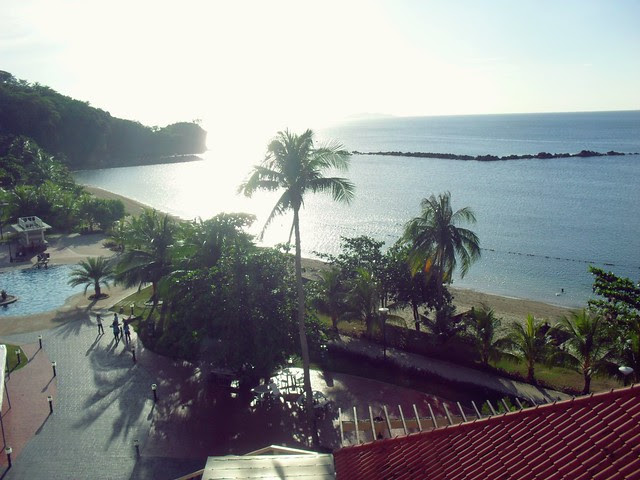 c13