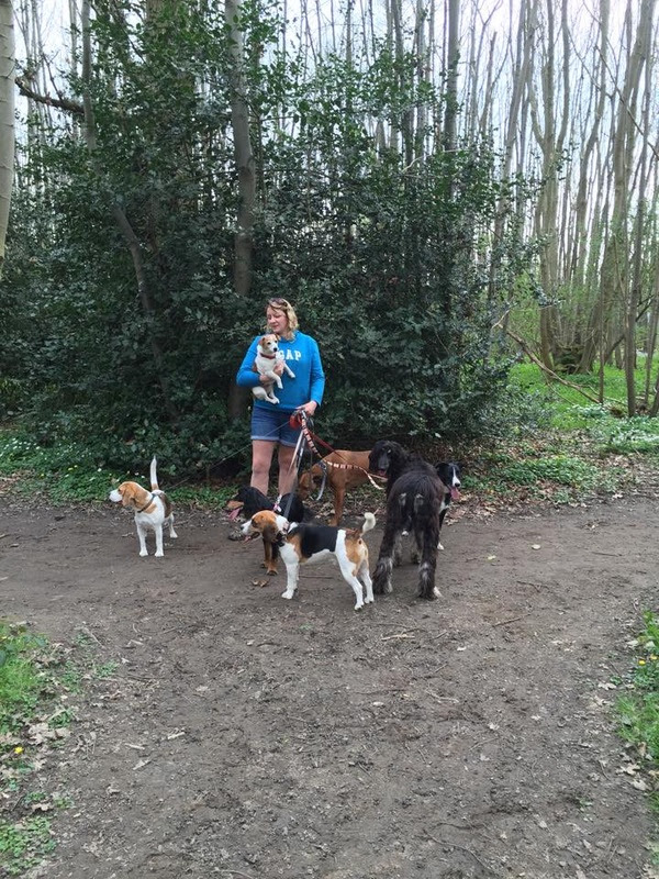 Dog Training and Walking in West Malling, Kings Hill and ...