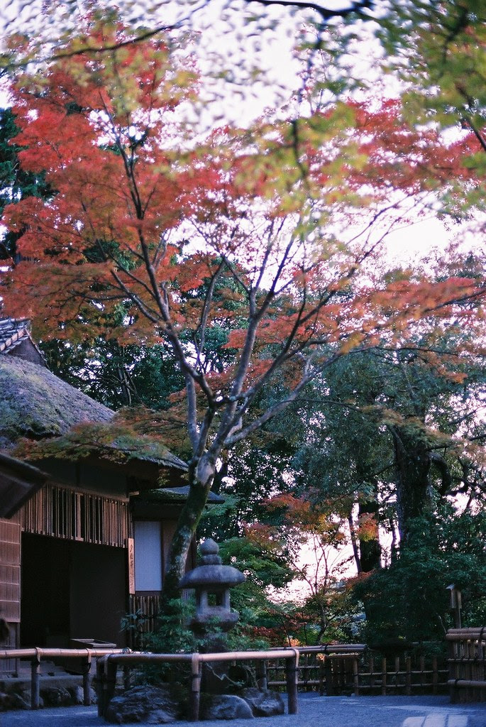金閣寺