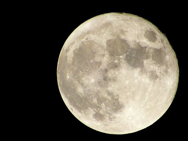 月 表面 画像 - In Deep （旧） 次々と噴出する NASA の月面の奇妙な写真。そして ESA 