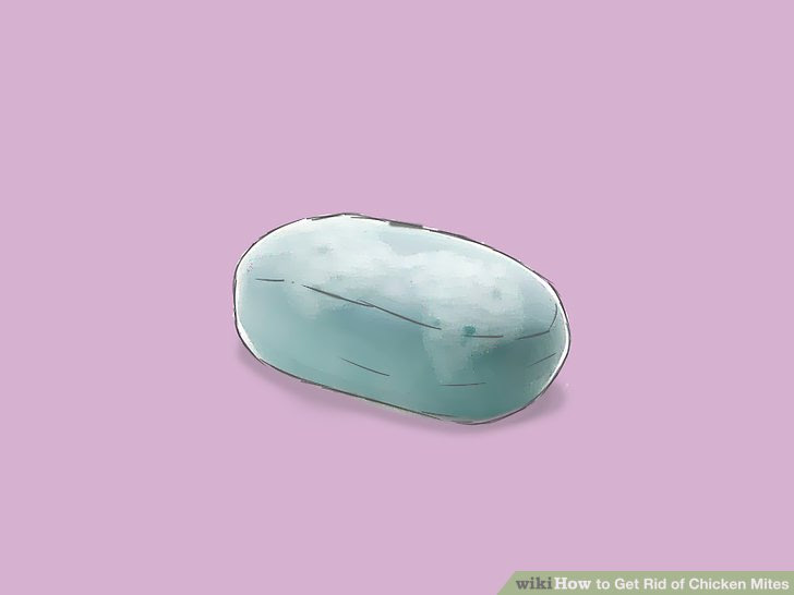 Get Rid of Chicken Mites Step 20.jpg