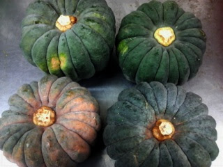 日本種のカボチャ黒皮南瓜です 八百屋のオッサンのひとりごと