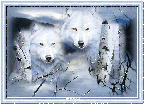 Https Encrypted Tbn0 Gstatic Com Images Q Tbn 3aand9gcrmmzatudt7z9lcvjdzf3h4ma5bnaq0l8cdoy Q21ovp3tnjt 6