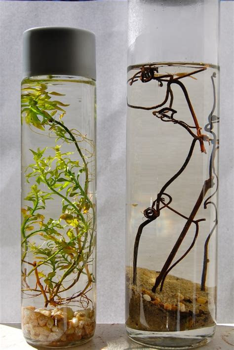 Boxed wine has a stigma, and howstuffworks explains why there's no need for it. 18 DIY Projects For Old Glass Bottles