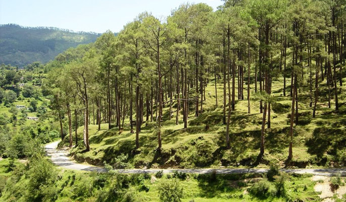 Kausani