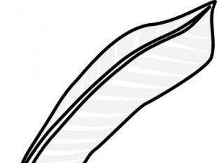 Download Feather Pen Clipart | Free download on ClipArtMag