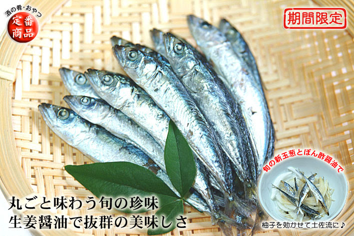 釜揚げ子サバ さば子 鯖子 を通販 お取り寄せ 創業八十余年の販売実績 高知の海産物専門店 中田遊亀商店