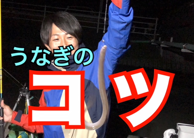 うなぎ釣り 鰻を確実に釣るために知っておくべきコツ教えます 六畳一間の狼ブログ