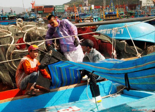 Gần 10.000 ngư dân tỉnh Bình Định sẽ vui Xuân, đón Tết Nguyên đán Đinh Dậu 2017 trên biển