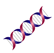 Dna 株式会社イノベイション