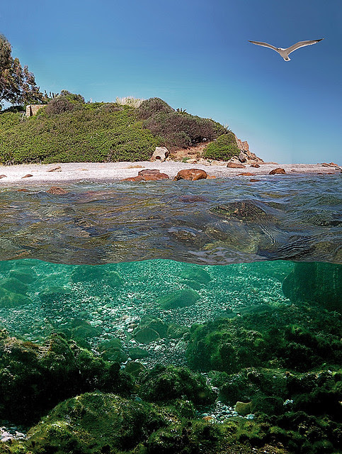 Ocean-Earth-Sky by Eduardo de la Hoz-underwater category-shot with Vivitar Vivicam 6200-Nikon L11 with Fantasea FL11