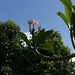 Malaysiaurlaub 2012