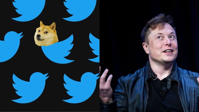 Elon Musk replaced Blue Bird Logo with Doge Meme on Web Twitter, Users Wonder its Purpose