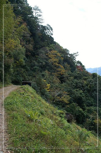 PICT0091