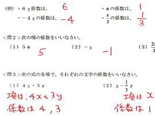 文字の式 第７回 項と係数 ひとりも見捨てないことを あきらめない