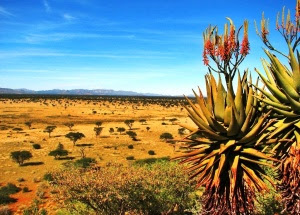  Kalahari desert wallpapers