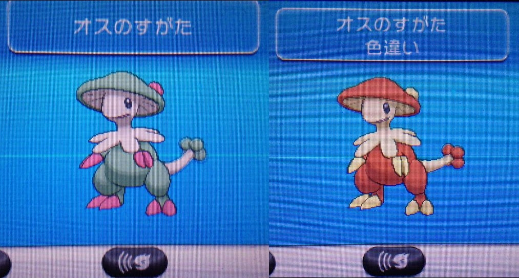 色違い キノココ キノガッサ 迷犬ぽちのあしあと