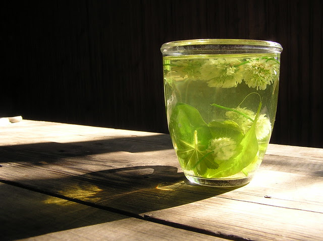 Herb tea