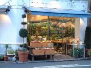 岡山市のおしゃれ花屋10選 岡山駅のギフトショップやアレンジ教室がある店も Shiori
