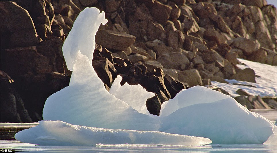 Deep freeze: The melting ice forms elegant ice sculptures which float across a glacial fjord in Svalbard