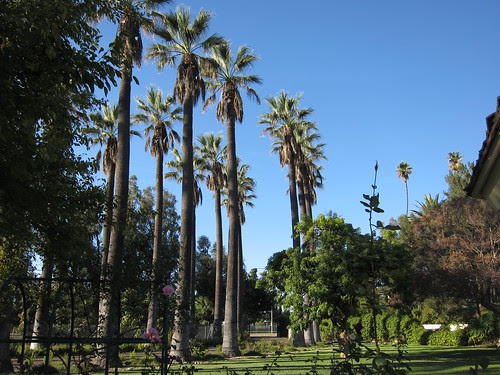 katie wheeler library