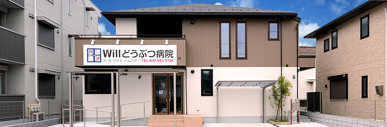 八王子 高尾 狭間 Willどうぶつ病院 犬 猫 うさぎ ハムスター 避妊去勢手術 フィラリア予防