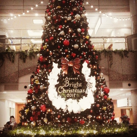 ランドマーククリスマスがはじまりました コスメティクスアンドメディカル オフィス街のドラッグストア 千代田区 中央区 みなとみらい他