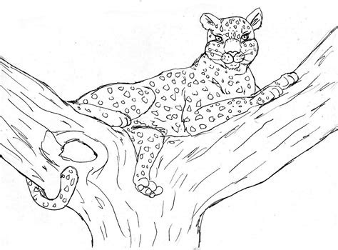 printable cheetah coloring pages  kids